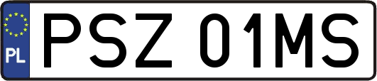 PSZ01MS