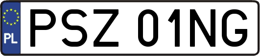PSZ01NG