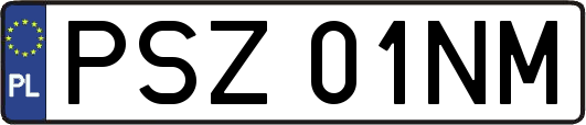 PSZ01NM