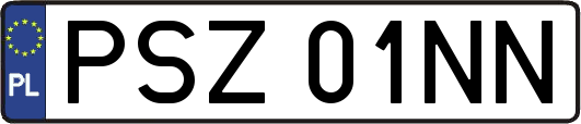 PSZ01NN