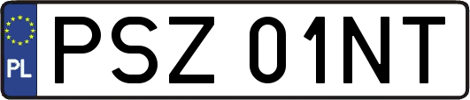 PSZ01NT