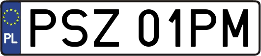 PSZ01PM