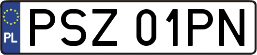 PSZ01PN