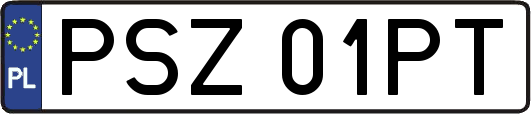 PSZ01PT