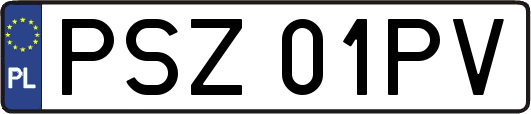 PSZ01PV