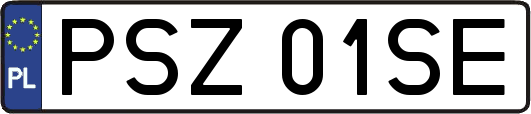 PSZ01SE