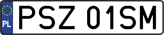 PSZ01SM