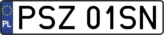 PSZ01SN