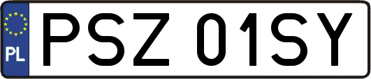 PSZ01SY
