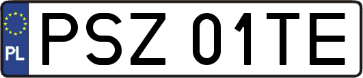 PSZ01TE