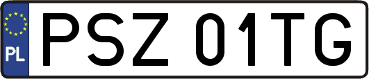 PSZ01TG
