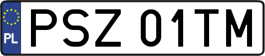 PSZ01TM