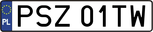 PSZ01TW