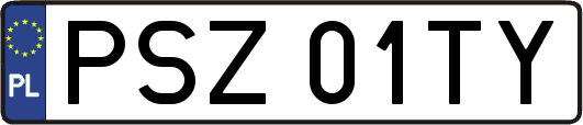 PSZ01TY