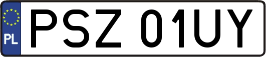 PSZ01UY
