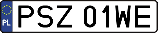 PSZ01WE