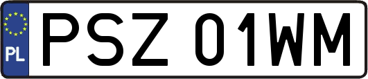PSZ01WM
