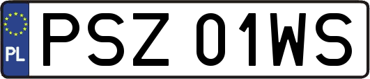 PSZ01WS