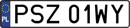PSZ01WY