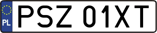 PSZ01XT