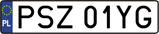 PSZ01YG