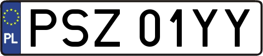 PSZ01YY
