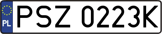 PSZ0223K