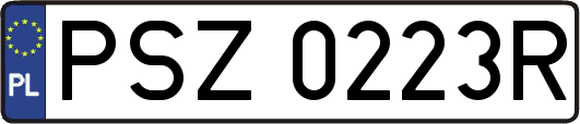 PSZ0223R