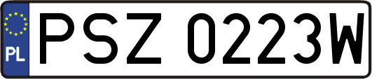 PSZ0223W