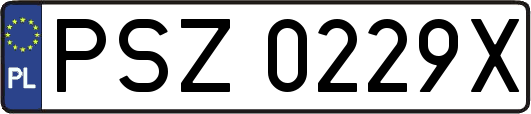 PSZ0229X