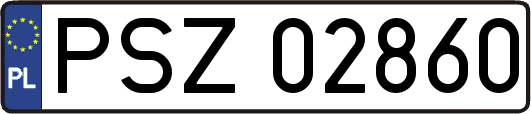 PSZ02860