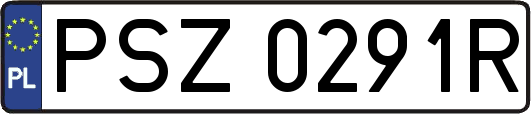 PSZ0291R