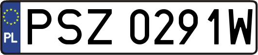PSZ0291W