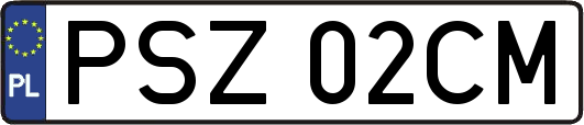 PSZ02CM
