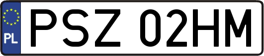 PSZ02HM