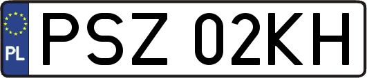 PSZ02KH