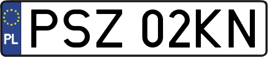 PSZ02KN