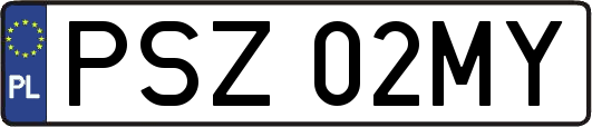 PSZ02MY