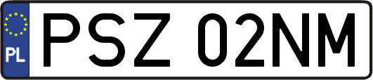 PSZ02NM