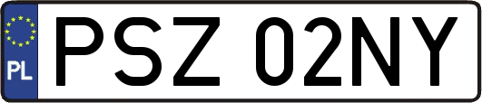 PSZ02NY