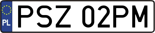PSZ02PM