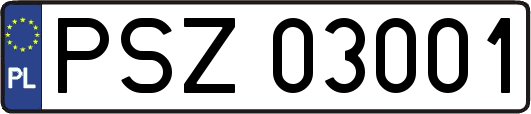PSZ03001