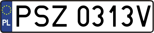 PSZ0313V