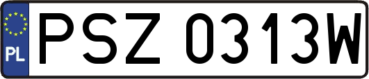 PSZ0313W
