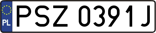 PSZ0391J