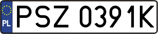 PSZ0391K