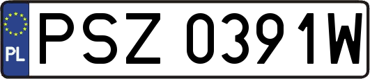 PSZ0391W