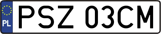 PSZ03CM
