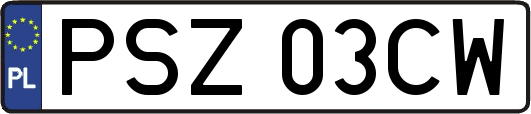 PSZ03CW
