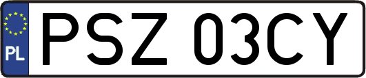 PSZ03CY